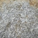 돈술
