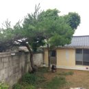 인심공인중개사사무소 이미지