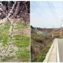 모덕경기장(축구장) 이미지