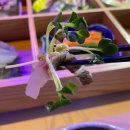 밥묵자 술도한잔 | [인천 중구] 인천데이트코스로 추천하는 분위기맛집 “더 뤼미에르”