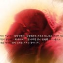 복싱 사범으로 일하고 싶습니다. 이미지