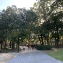 에이콜렉티브 네이버블로그