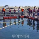 거일1리어촌체험휴양마을 이미지
