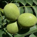 상촌시장 이미지