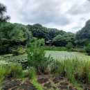 강봉수 Daum카페