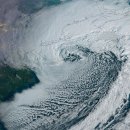 CW-1272-01 이미지