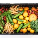 그대로 그렇게 이미지