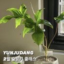 열두달봄스튜디오