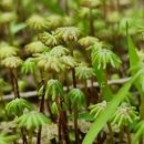 바다산책펜션 이미지