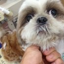 아현초교 이미지