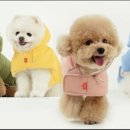 따뜻하개 이미지