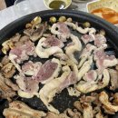 데이데이그릭 이미지