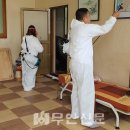 초록홀딩스 이미지