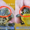 남강수족관