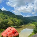 카페레오나 이미지