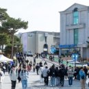 파크뮤직아카데미실용음악학원 이미지