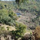 서봉1구 이미지