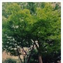 교화어린이공원 이미지