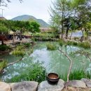 야초목장 네이버블로그