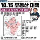 신명2차아파트경로당 | [불장]10.15.부동산정책 이후 / 구리시 수택동, LG원앙아파트 임장 후기 🔥