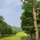 전주샹그릴라CC 이미지