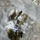 낚시인의 집 | [낚시 포인트] 초보 낚시인의 남양주 수동계곡 꺽지 낚시 후기