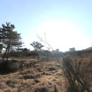 약사부동산중개사무소 이미지