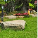 해피트리펜션 이미지