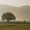 성진미화 이미지