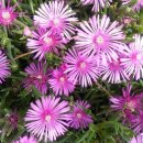 황간참숯마을 이미지