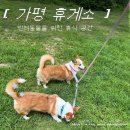 운동장주유소 | [경기/가평] 가평휴게소 애견 운동장 • 애견용품점