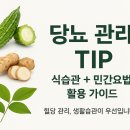 당뇨 민간요법 총정리: 여주·돼지감자·둥굴레 효과와 주의사항 이미지