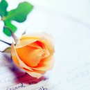 마음향기 시낭송 이미지