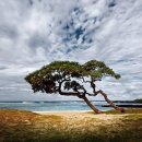 란여인숙 이미지