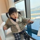 원터3길 8 | 여수 아이와 가기좋은 숙소 추천 신라스테이 여수 오션뷰 1박2일 후기