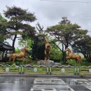 진산보건지소 이미지