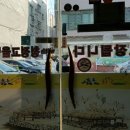 청정고을순대큰집 이미지