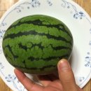 주빈농장 이미지