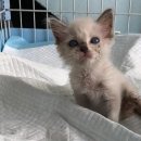 동물병원 앞 이미지