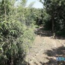 여주-1071 이미지