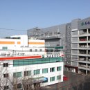 새솔다이아몬드 이미지