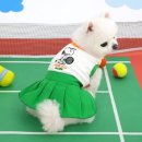 스누피 애견 이미지