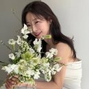 두근두근 결혼 준비 2편, D-100] 웨딩촬영 및 헤어, 헤어변형 후기 (앤드류권, 다영무드, 강아지동반)