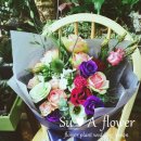 수아flower