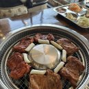 개가사는그집 이미지