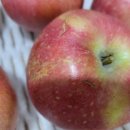 금계농장2 이미지