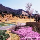 클럽하우스(신안종합레져) 이미지