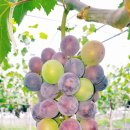 운문민박 이미지