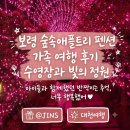 애플트리 - 예산군 조곡별리길 43 | 보령 숲속애애플트리 펜션 가족 여행 후기 수영장과 빛의 정원 이용 팁