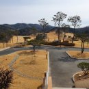 그린정수 이미지